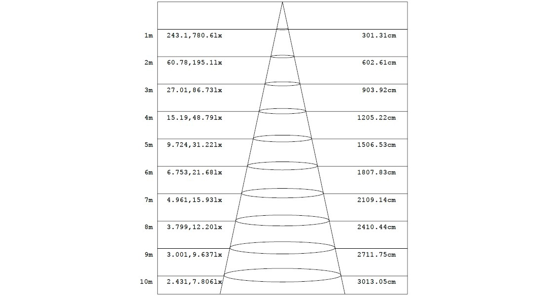 1608709505281720.jpg 2.jpg